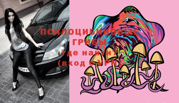 дмт Переславль-Залесский
