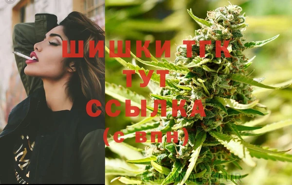 дмт Переславль-Залесский