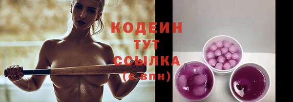дмт Переславль-Залесский
