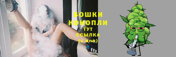 дмт Переславль-Залесский