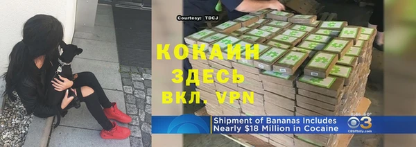 дмт Переславль-Залесский