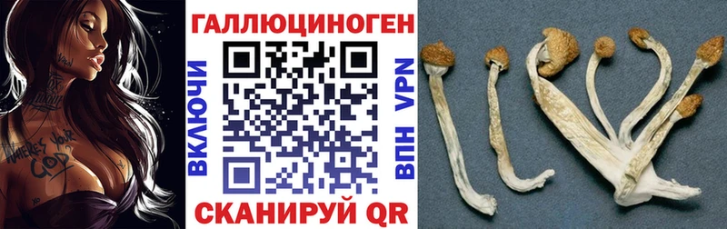 Галлюциногенные грибы Magic Shrooms Купить где Саратов
